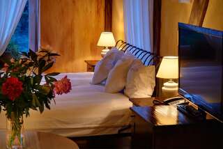 Отель Romantic Boutique Hotel & Spa Паневежис Двухместный номер Делюкс с 1 кроватью и доступом в спа-центр-1